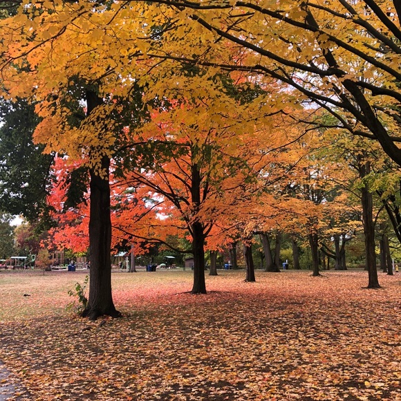 Meet your Posher, Matthew - Picture 1 of 1